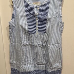 LOFT Blue and White Striped Buttoned Dress